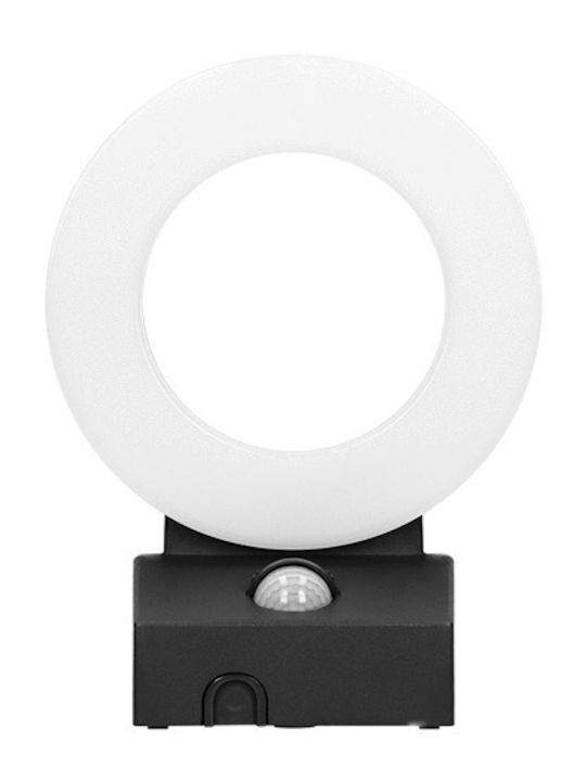 Redled Стенен Външен Плафон LED IP65 20W с Естествено бяло Светлина 19.6x15x8.2εκ.