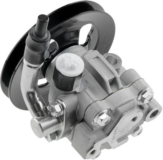 NTY Servolenkungspumpe Auto für Skoda Abholung Nissan Navara / Abholung Dacia Abholung Isuzu Abholung