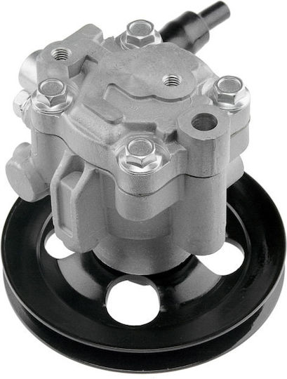 NTY Servolenkungspumpe Auto für Skoda Abholung Nissan Navara / Abholung Dacia Abholung Isuzu Abholung