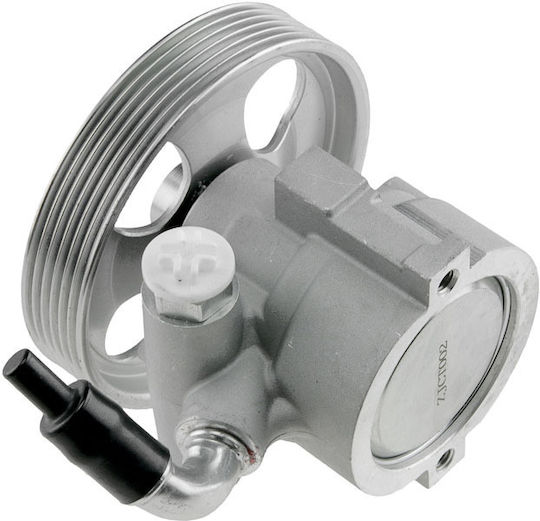 NTY Power Steering Pump Car for Peugeot Bipper / Bipper Tepee Fiat Doblo / Fiorino / Linea / Qubo / Strada Citroen Nemo
