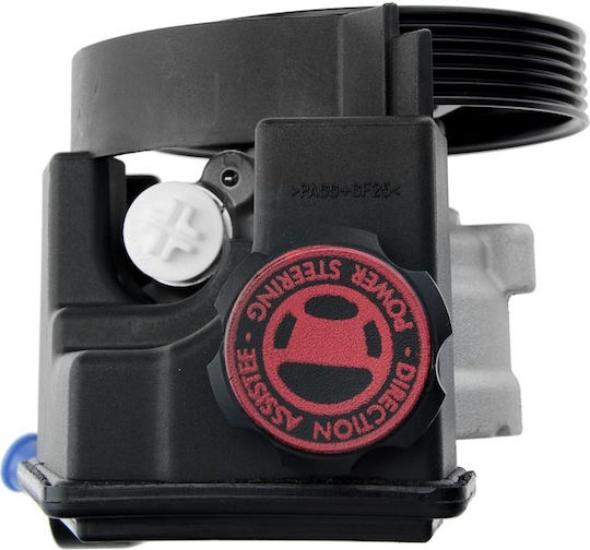 NTY Power Steering Pump Car for Peugeot Partner Citroen Berlingo / Xsara Picasso