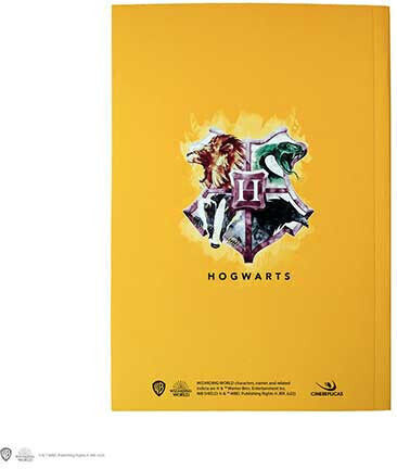 Cinereplicas Carnet 120 Foi A5 Multicolor