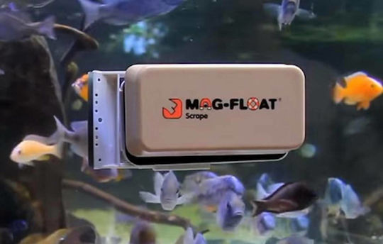 Mag-Float Magnet Aquarium 2.5x2.5cm