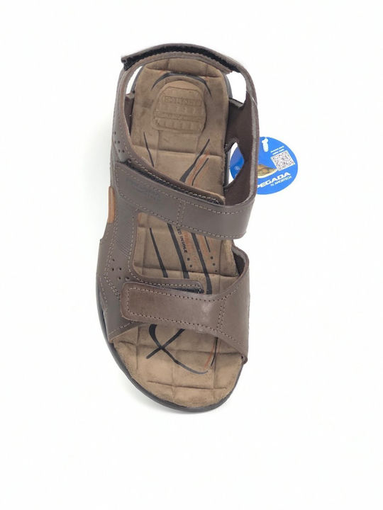Men's Sandals Brown