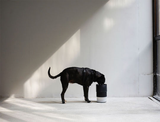 Zee-Dog Μπολ Φαγητού & Νερού Αργού Ταΐσματος για Σκύλο με Βάση 2lt 19cm σε Μαύρο Χρώμα