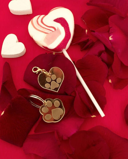 LifeLikes Dog ID Paw Gold