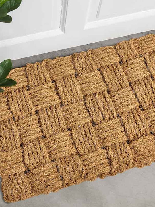 Entrance Mat made of Coir Brown 45x75cm