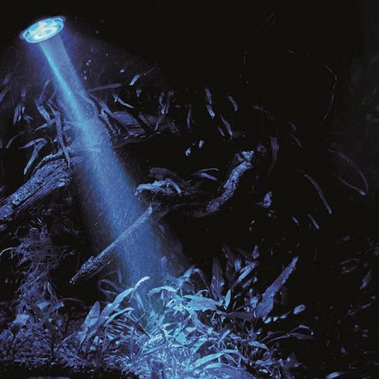 Hobby Aquaristik Led-Lampe für Aquarienbeleuchtung mit Blauem Licht 1W