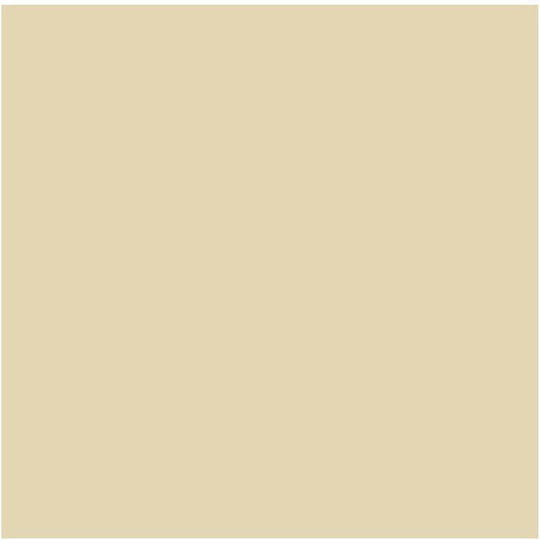 Royal Talens Beige Oil Colour 40ml