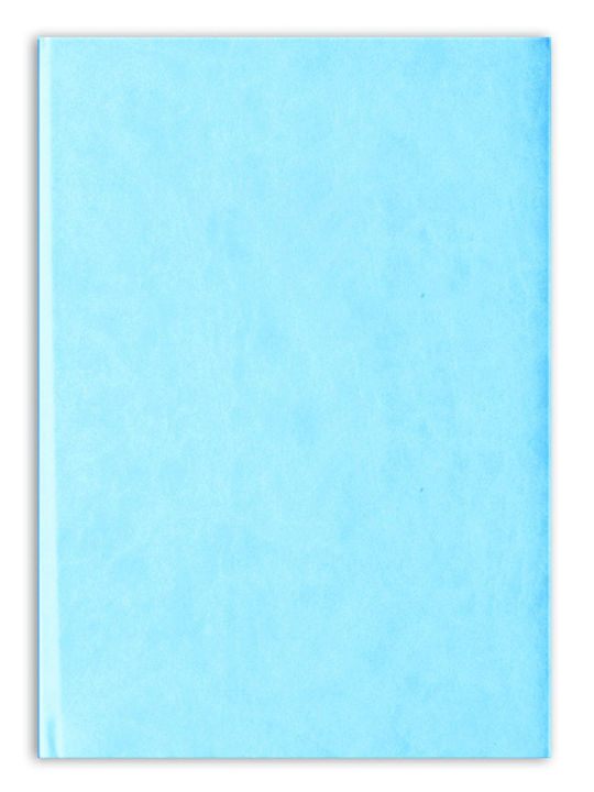 A&G Paper Wedding Wish Book Light Blue