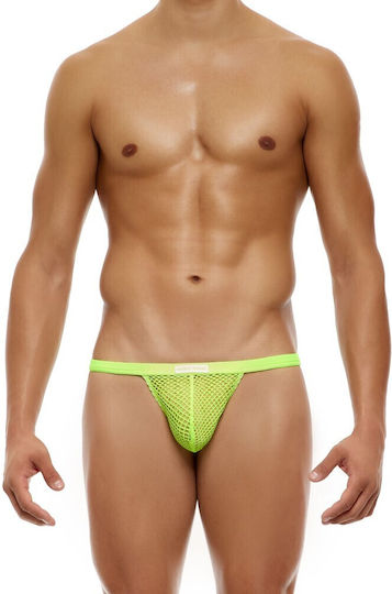 Modus Vivendi Transparent