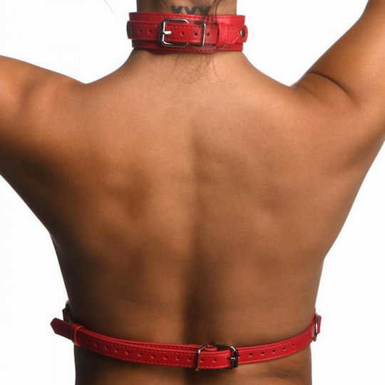 Strict Leather Харнес Червен