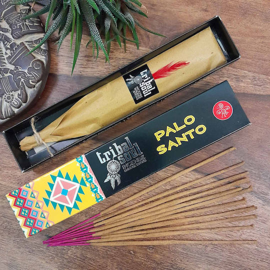 Αρωματικά Sticks 3082001 15gr