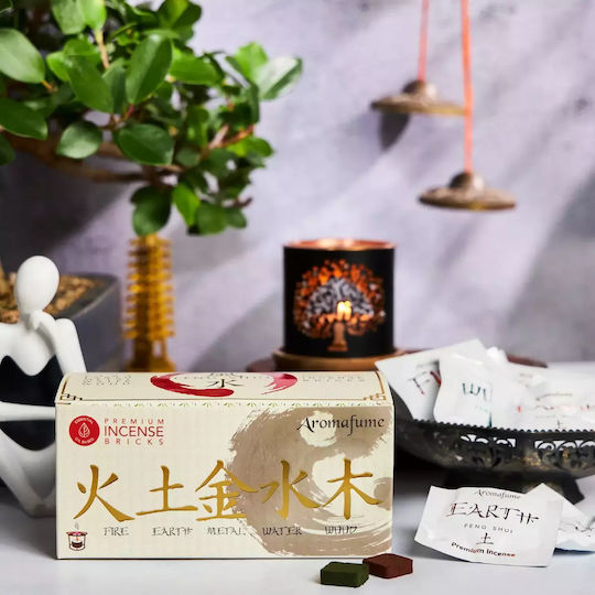 Aromafume Αρωματιστής για Αιθέρια Έλαια Set 18225 160gr