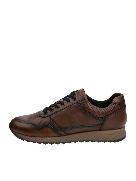 Sneakers Tabac Brown
