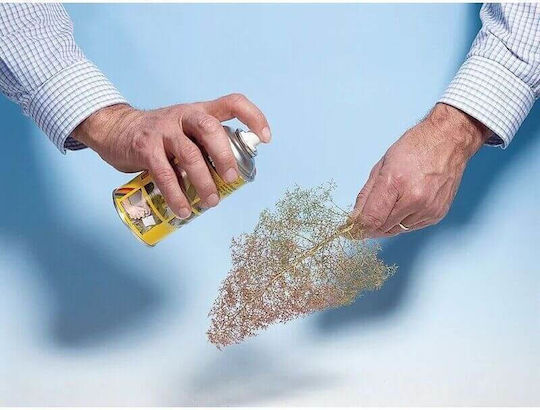 Noch Planta Machetă