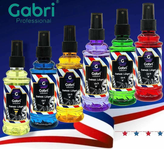 Gabri Desinfektionsbehälter Friseurausrüstung GAB.1025