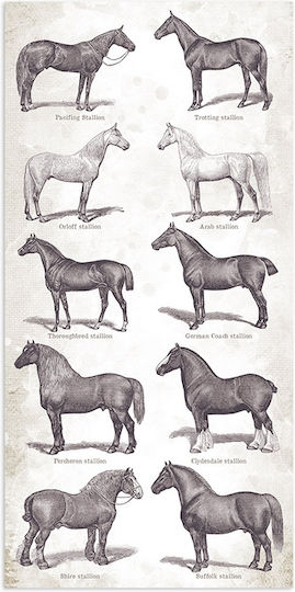 Stamperia Romantic Horses Φύλλα Scrapbooking 10 φύλλα 10τμχ