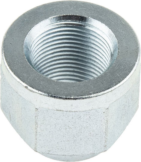 NTY Nut Car for Nissan Primera