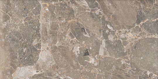 Winasa Ceramica Fliese Boden / Wand Küche / Bad 120x60cm Braun