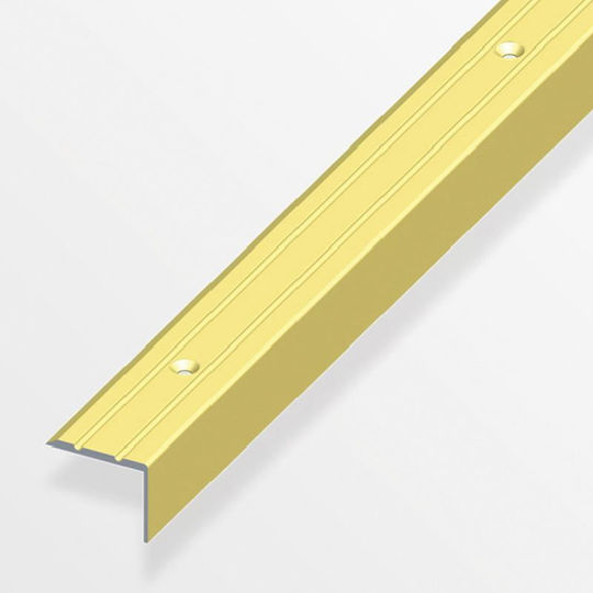 Alfer Aluminium Προφίλ Αλουμινίου για Σκαλοπάτια 100x2.5x2.5εκ.