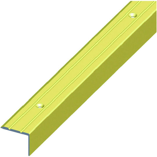 Alfer Aluminium Profil Aluminium für Treppen 100x2.5x2.5cm