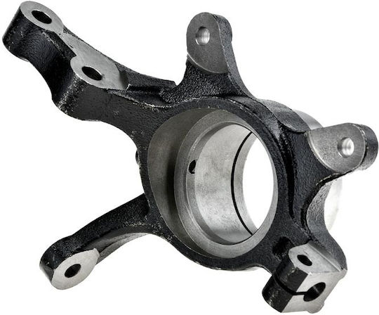 NTY Achsschenkel für Fiat Sechzehn suzuki SX4 ZZP-SU-004