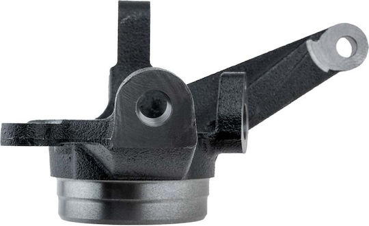 NTY Steering Knuckle for Hyundai Elantra ZZP-HY-501