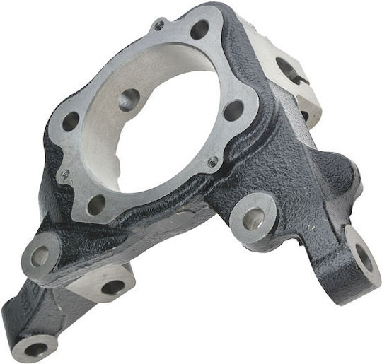 NTY Steering Knuckle for Hyundai ix55 / Santa Fe ZZP-HY-509