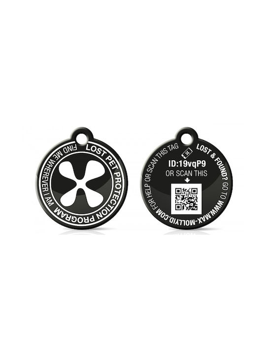 Max & Molly Aloha Hundehalsband in Türkis Farbe Mittel 20mm x 34 - 55cm