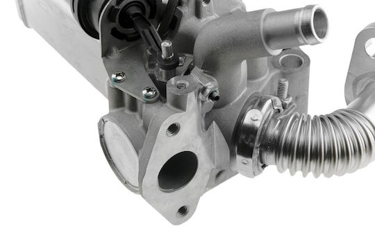 NTY Ψυγείο EGR Αυτοκινήτου για Nissan Cabstar / NP300 / Navara / PickUp / Pathfinder