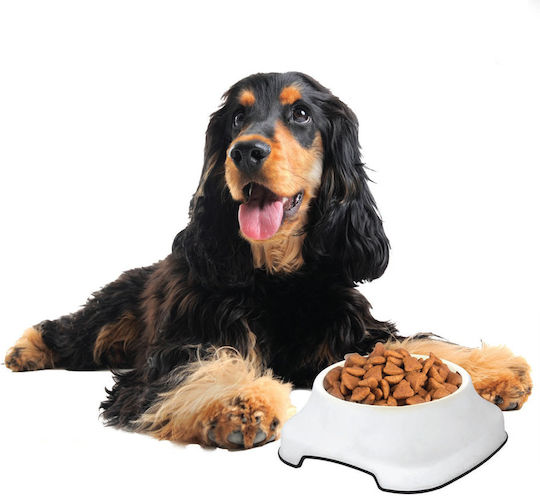 Pet Plast Art Plastic Bol Mâncare pentru Câine & Pisică 2lt în Culoare Bej