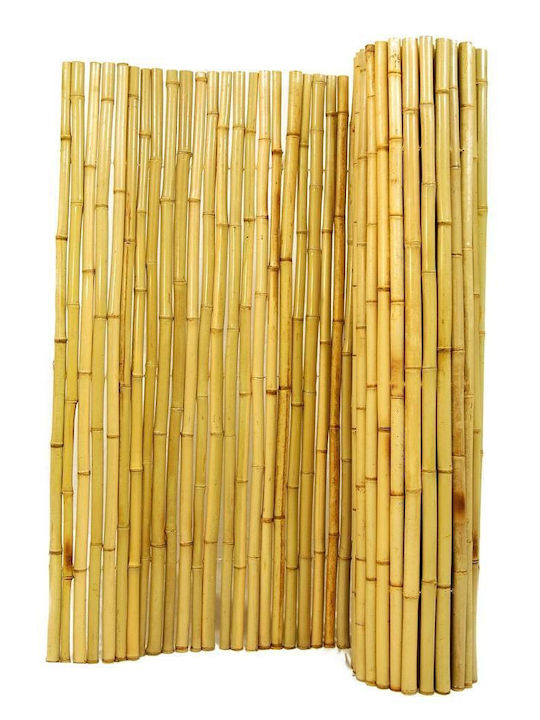 Showood Bamboo Fencing Bamboo with Whole Wood 1x2.5m