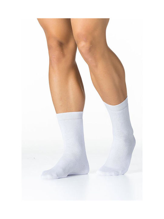 Inizio Men's Solid Color Socks White