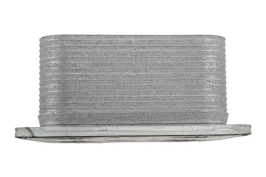 NTY Car Oil Radiator for Volkswagen Touareg Audi V8
