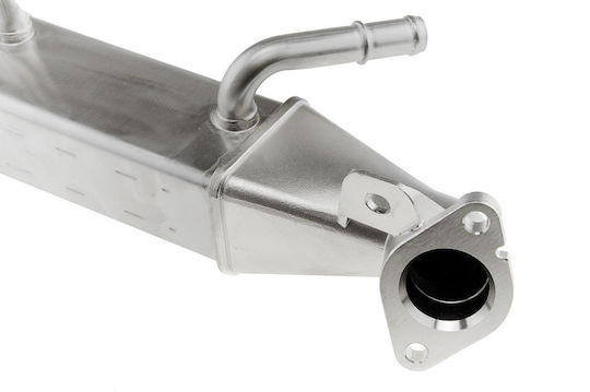 NTY Autokühler für Peugeot Boxer Citroen Pullover Ford Tourneo Custom / Transit / Transit Custom / Tourneo
