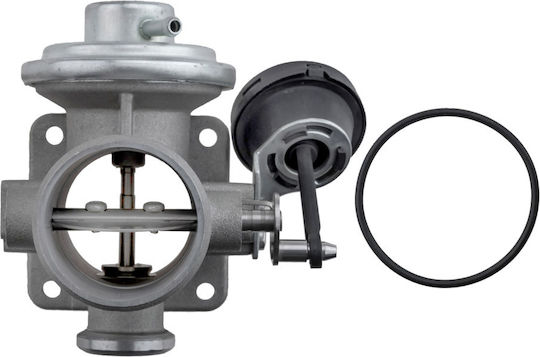 NTY Вентил EGR Кола за Volkswagen LT