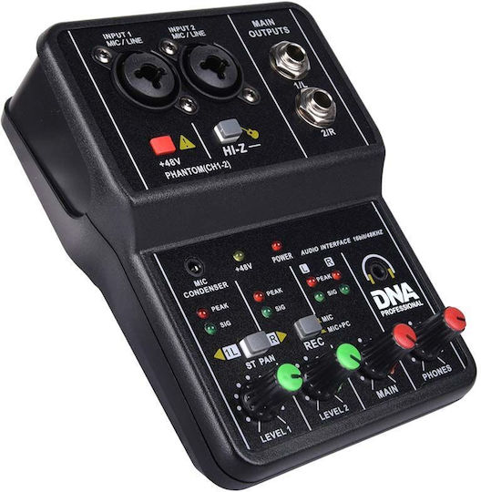 DNA 2-CHANNEL with 1 XLR Input