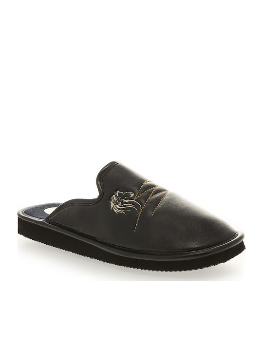 Fshoes