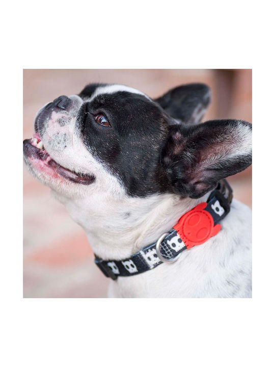 Zee-Dog Hundehalsband in Schwarz Farbe Groß