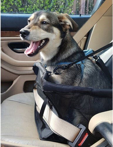 Purlov Waterproof Seat Car for Dog Black
