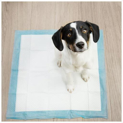 Purlov Dog Floor Diapers 60x60cm - 60cm 100pcs