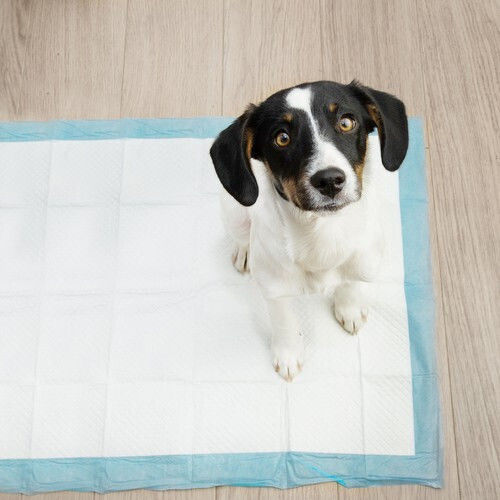 Purlov Пелени за кучета 60x90см 100бр
