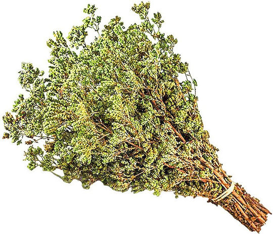 MPACHARADIKO Oregano 100gr