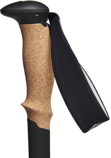 Black Diamond Wanderstock