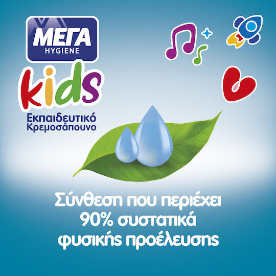 MEGA Hygiene Liquid Soap with Pump 250ml