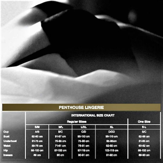 Penthouse Smoking Gun Mesh 2 Pieces Set Black