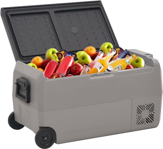 vidaXL Tragbarer Kühlschrank 60lt 12V / 240V / 24V Schwarze