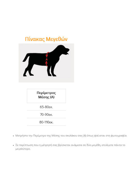 Pet Interest Εκπαιδευτικό 3D Rings Medium 70-90cm Pet Interest Εκπαιδευτικό 3D Rings Medium 70-90cm