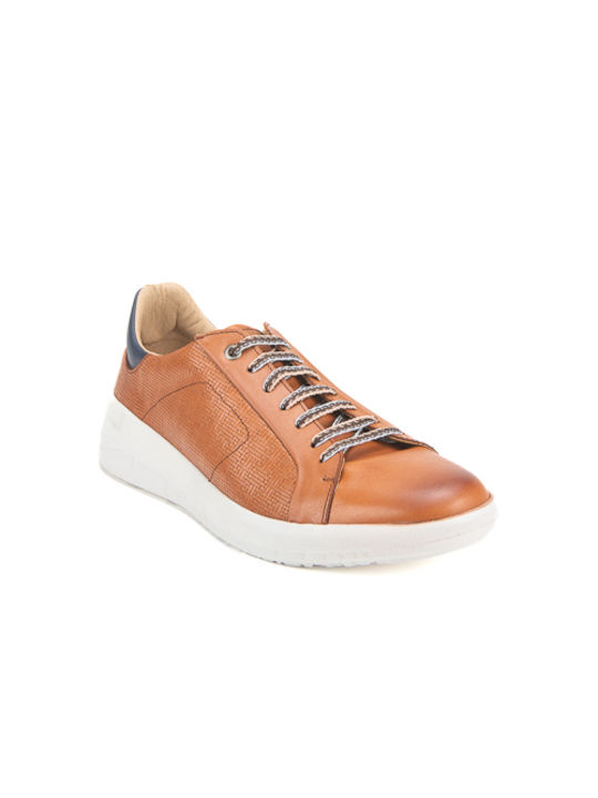 Baerchi Sneakers Brown